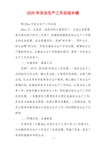 2025年安全生产工作总结乡镇