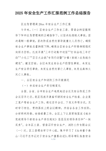 2025年安全生产工作汇报范例工作总结报告
