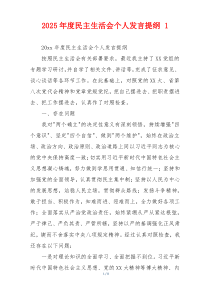 2025年度民主生活会个人发言提纲 1