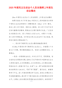 2025年度民主生活会个人发言提纲上年度生活会整改