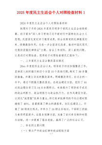 2025年度民主生活会个人对照检查材料1