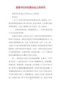 县委书记在纪委全会上的讲话