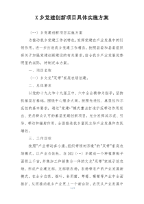 X乡党建创新项目具体实施方案