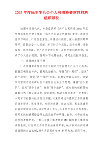 2025年度民主生活会个人对照检查材料材料组织部长