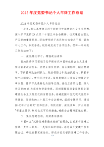 2025年度党委书记个人年终工作总结