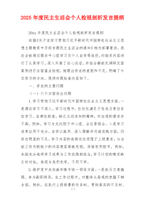 2025年度民主生活会个人检视剖析发言提纲