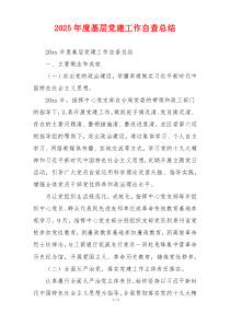 2025年度基层党建工作自查总结