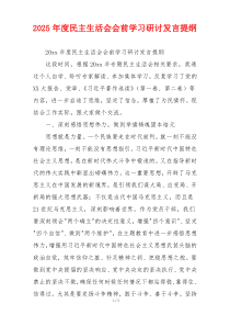 2025年度民主生活会会前学习研讨发言提纲