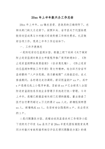 20XX年上半年振兴办工作总结