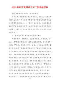 2025年社区党组织书记工作总结报告