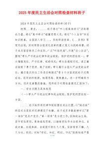 2025年度民主生活会对照检查材料班子