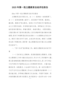 2025年第一批主题教育总结评估报告