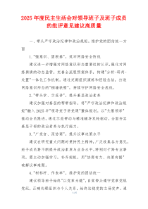 2025年度民主生活会对领导班子及班子成员的批评意见建议高质量