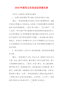 2025年度民主生活会征求意见表