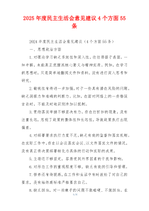2025年度民主生活会意见建议4个方面55条