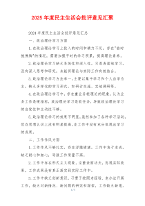 2025年度民主生活会批评意见汇聚