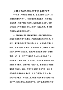 乡镇上2025年半年工作总结报告