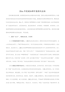 20XX年党建品牌开展情况总结