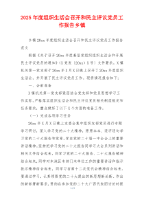 2025年度组织生活会召开和民主评议党员工作报告乡镇