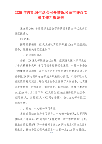 2025年度组织生活会召开情况和民主评议党员工作汇报范例