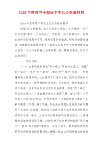 2025年度领导干部民主生活会检查材料