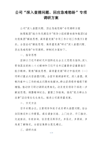 公司“深入查摆问题、回应急难愁盼”专项调研方案