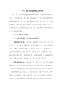 20XX年公司党支部党建工作总结