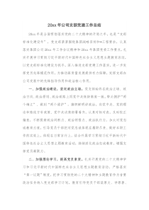 20XX年公司支部党建工作总结