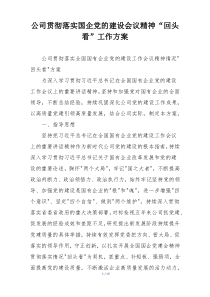 公司贯彻落实国企党的建设会议精神“回头看”工作方案