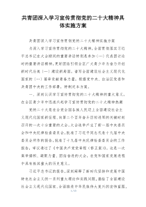 共青团深入学习宣传贯彻党的二十大精神具体实施方案