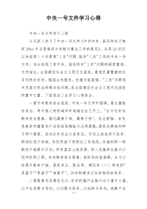 中央一号文件学习心得