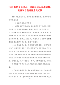 2025年民主生活会、组织生活会查摆问题、批评和自我批评意见汇聚