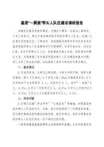 基层一肩挑带头人队伍建设调研报告