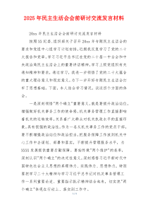 2025年民主生活会会前研讨交流发言材料