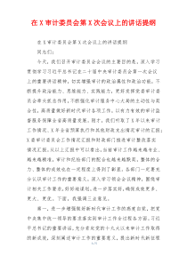 在X审计委员会第X次会议上的讲话提纲