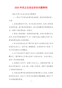 2025年民主生活会存在问题事例
