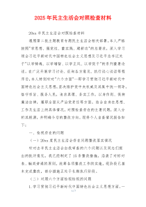 2025年民主生活会对照检查材料