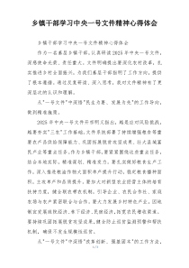 乡镇干部学习中央一号文件精神心得体会