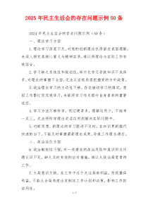 2025年民主生活会的存在问题示例50条