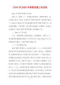 [3500字]2025年两新党建工作总结