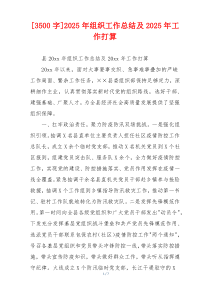 [3500字]2025年组织工作总结及2025年工作打算