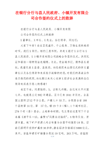 在银行分行与县人民政府、小镇开发有限公司合作签约仪式上的致辞