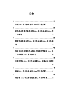 20XX年工作总结及20XX年工作计划汇编40篇