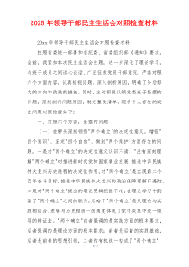 2025年领导干部民主生活会对照检查材料