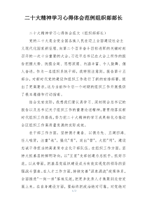 二十大精神学习心得体会范例组织部部长