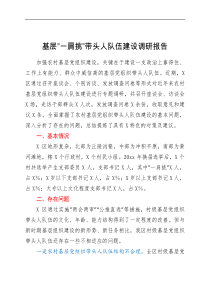 总结报告基层一肩挑带头人队伍建设调研报告