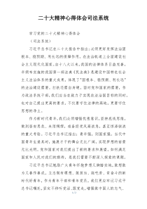 二十大精神心得体会司法系统