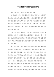 二十大精神心得体会应急局