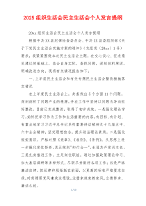 2025组织生活会民主生活会个人发言提纲