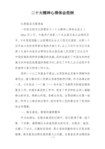 二十大精神心得体会范例